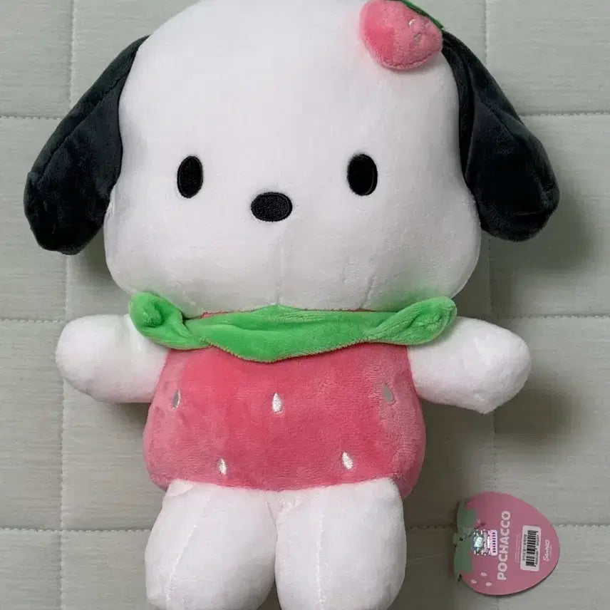 [BUNJANG] Sanrio Pochacco Strawberry Plush Medium Doll / 정품 산리오 포차코 딸기 봉제 중형인형