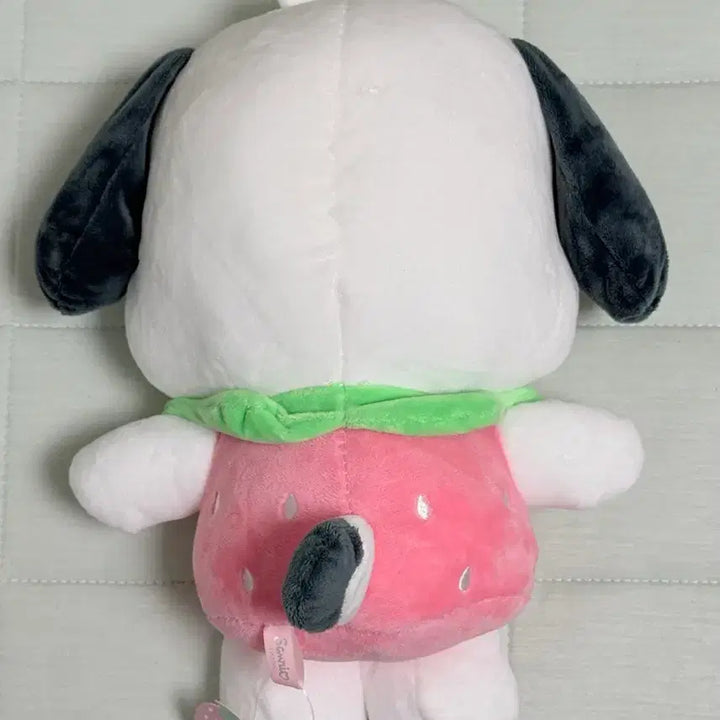 [BUNJANG] Sanrio Pochacco Strawberry Plush Medium Doll / 정품 산리오 포차코 딸기 봉제 중형인형