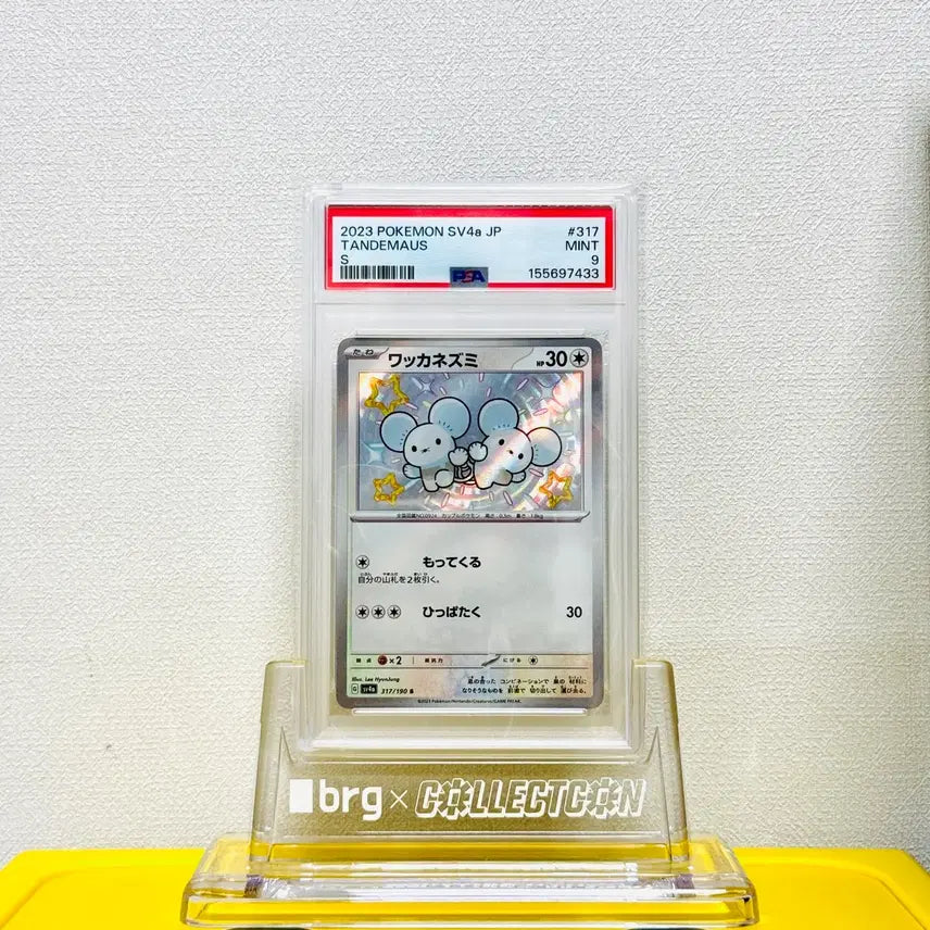 [BUNJANG] Pokemon Spinarak PSA 9 Graded Card / 포켓몬 두리쥐 PSA9
