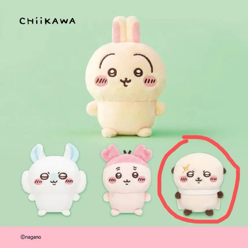 [BUNJANG] Chikawa Racoon Sealed Plush / 치이카와 앉은누이 랏코 미개봉