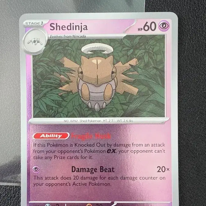 [BUNJANG] Pokemon Card North America Kabigon Mirror Holo / 포켓몬 카드 북미 껍질몬 미러 홀로