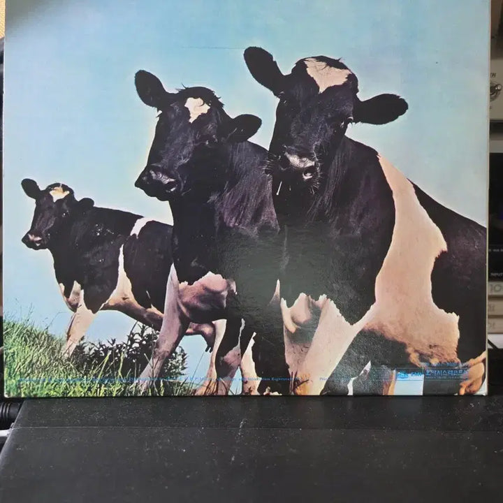 [BUNJANG] Pink Floyd Atom Heart Mother LP / 핑크 플로이드 앨범 Atom Heart Mother LP 라이센스