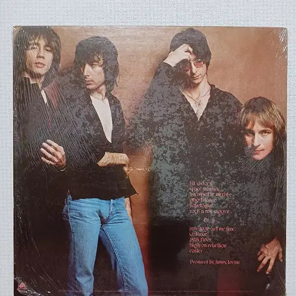 [BUNJANG] Patti Smith Group Easter 1978 US Original Pressing Vinyl Record / Patti Smith Group " Because the Night "