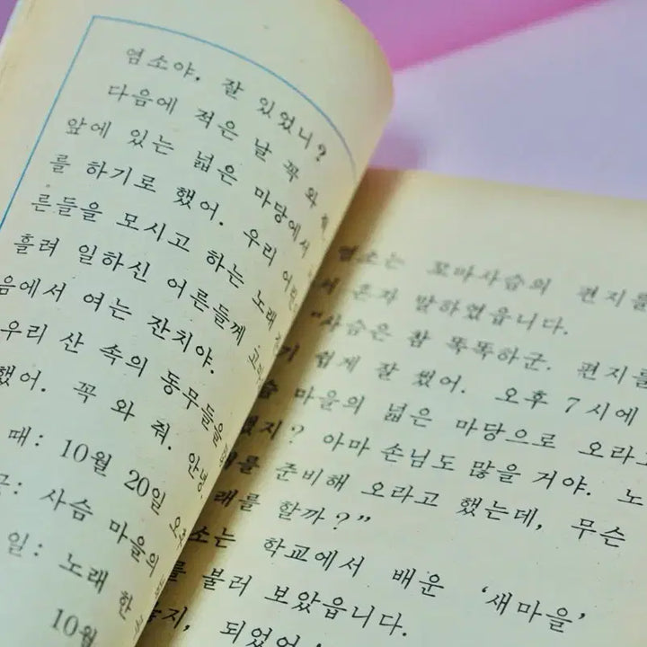 [BUNJANG] 1980s Guk-eo (Korean Language) Textbook Grade 2-2 / 80년 국민학교 교과서 국어 2-2 교과서