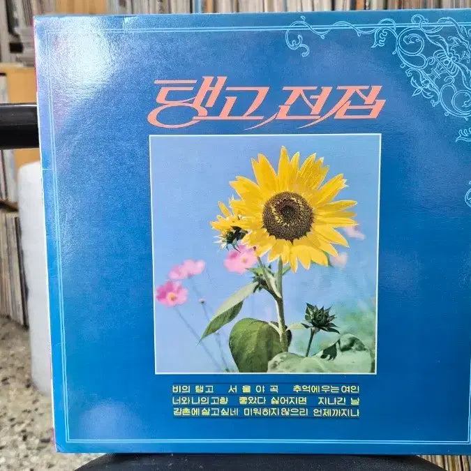 [BUNJANG] Tango Complete Collection / 탱고전집