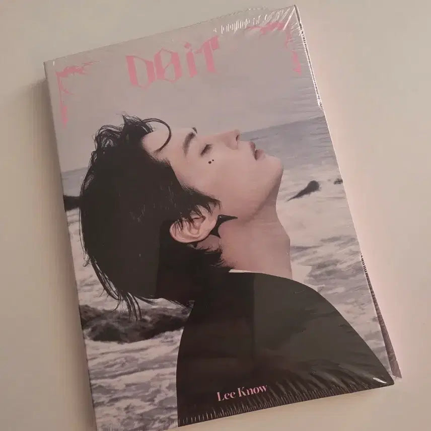 [BUNJANG] Sealed DO IT Accordion Minho / (미개봉) 두잇 아코디언 리노