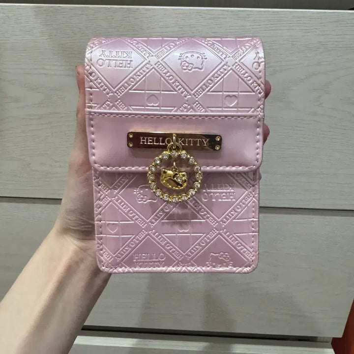 [BUNJANG] Classic Kitty Wallet Case / 가격제안받음) 고전키티 케이스 지갑 고전헬로키티 산리오 리락쿠마 먼작귀 치이카와
