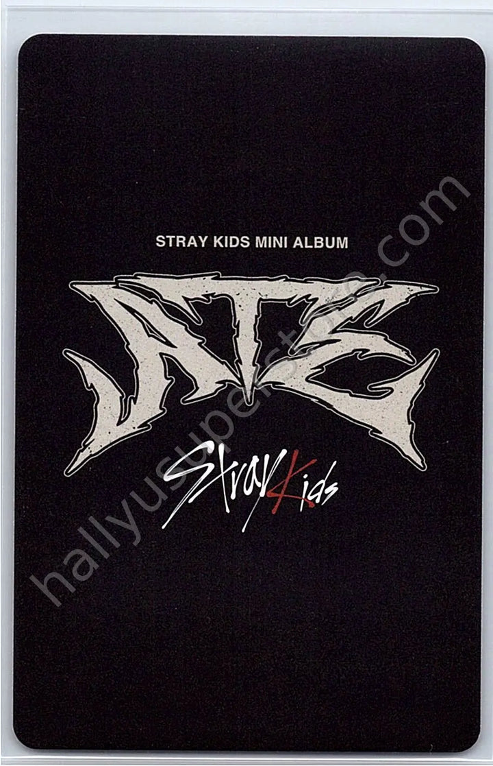Stray Kids - Seungmin - ATE A version album photocard nemo version random photocard