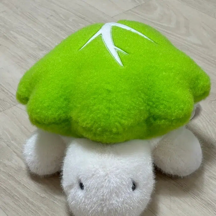 [BUNJANG] Shabu-Shabu Turtle 25cm Plush Doll / 샤브샤브 거북이 샤부샤부거부기 알배추 25cm 인형 뽑기 키덜트