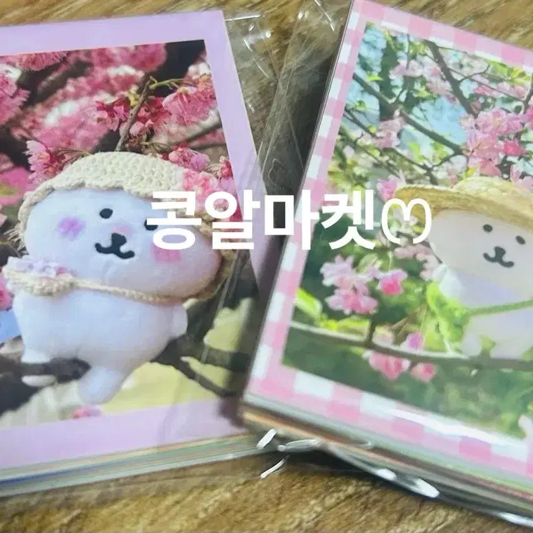 [BUNJANG] Nongdamgom Photocard Set / 농담곰 포토카드 포카 세트