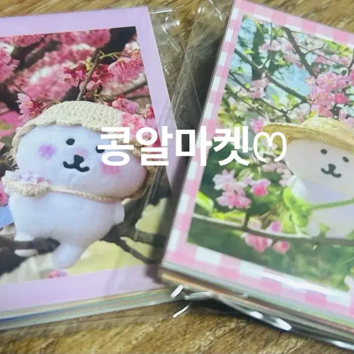 [BUNJANG] Nongdamgom Photocard Set / 농담곰 포토카드 포카 세트