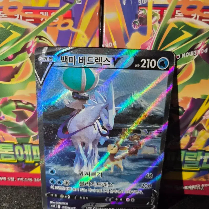 [BUNJANG] Pokemon Card Spectrier V SR Special Illustration / 포켓몬카드 백마 버드렉스 V SR 특일 [B급]