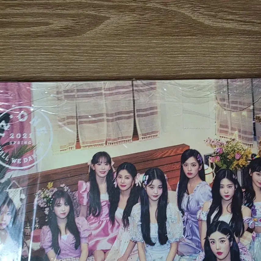 [BUNJANG] IZ*ONE Kwon Eun Bi Dicon Photobook / 아이즈원 권은비 디아이콘 화보집 포토북