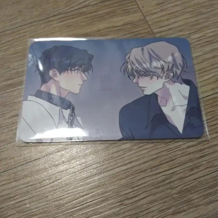 [BUNJANG] Rootless Tree ALBOM Spring Special Edition Photocard / 뿌리 없는 나무 뿌없나 아밝 레봄 특전 판매