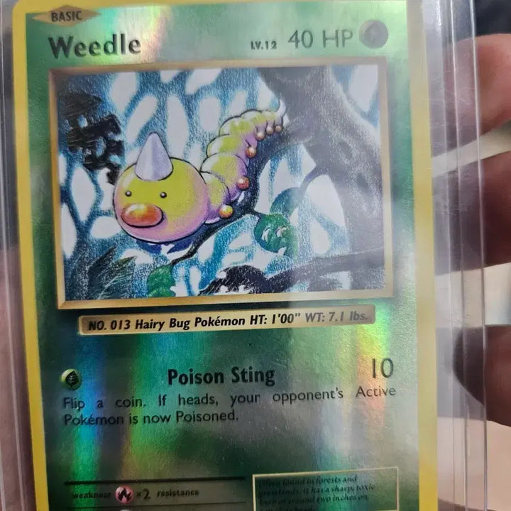 [BUNJANG] Pokemon Card XY Pinsir Holo / 포켓몬카드 XY 뿔충이 홀로