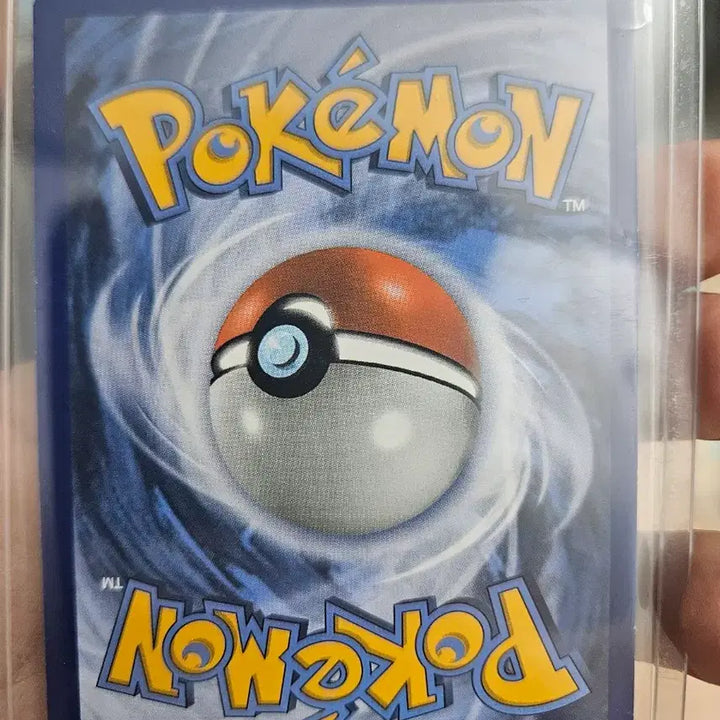[BUNJANG] Pokemon Card XY Pinsir Holo / 포켓몬카드 XY 뿔충이 홀로
