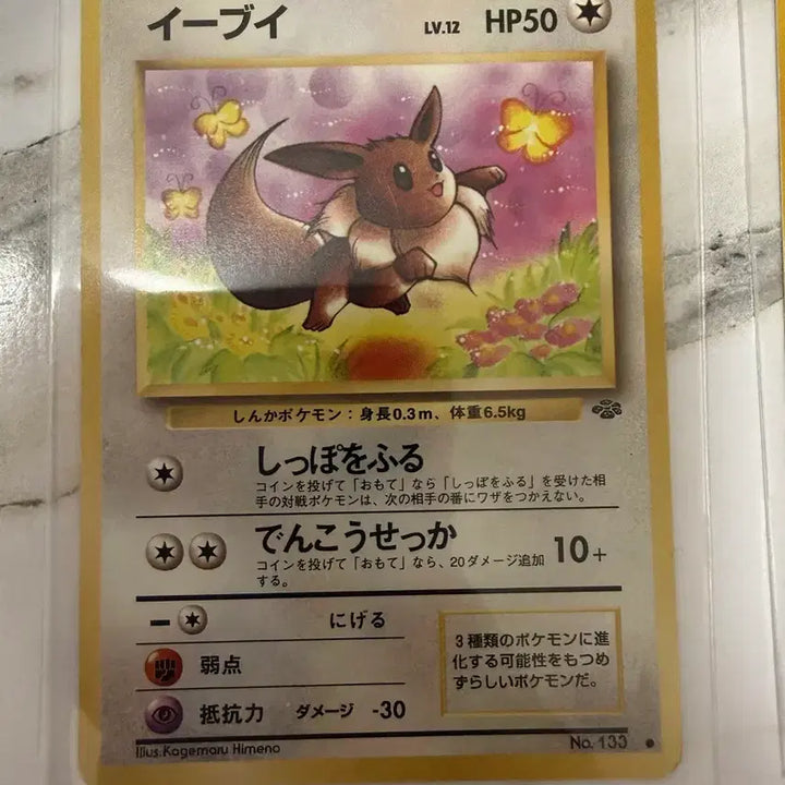 [BUNJANG] Vintage Japanese Pokémon Cards Eevee Evolutions Bundle Set (7 Cards) / 포켓몬 카드 일판 올드백 고전 이브이 진화체 7장 일괄