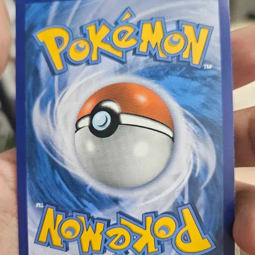 [BUNJANG] Pokemon Card XY Pinsir / 포켓몬카드 XY 뿔충이