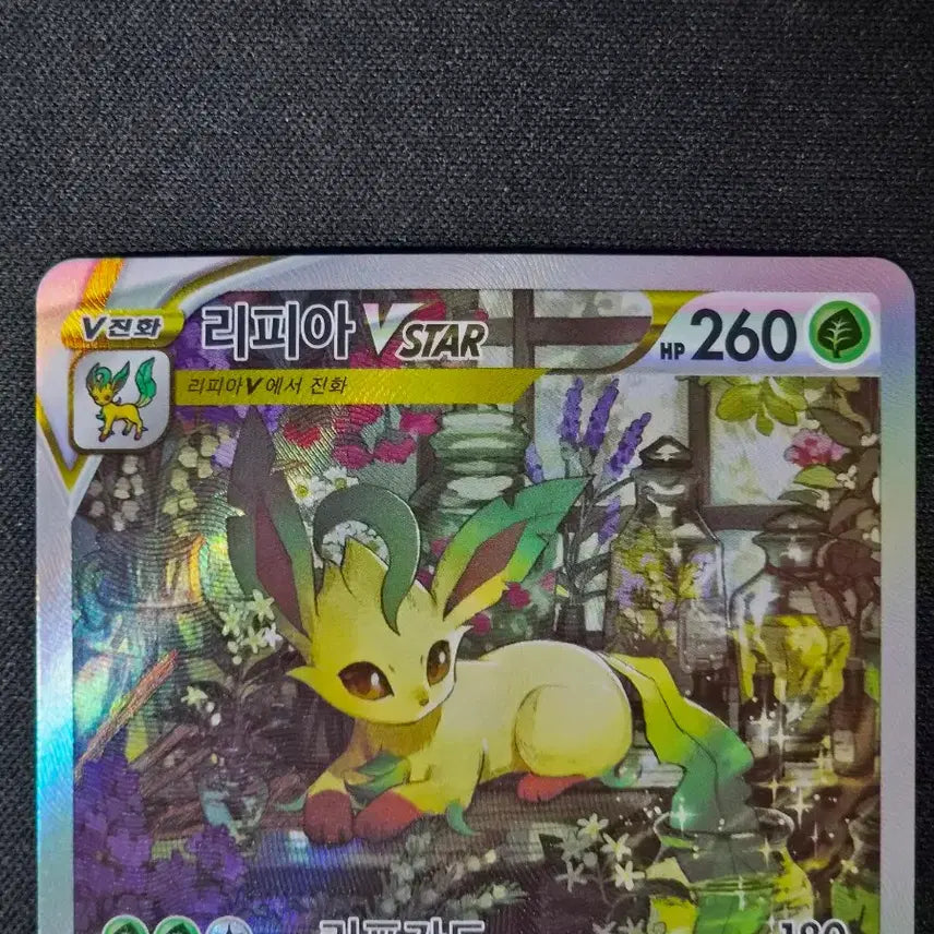 [BUNJANG] Pokemon Card Leafeon VSTAR Korean Version / 포켓몬 카드 리피아 VSTAR SAR 210/172