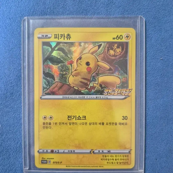 [BUNJANG] Pokemon Card Pikachu Bolt Tackle Promo / 포켓몬 카드 피카츄 앙천의 볼트태클 프로모