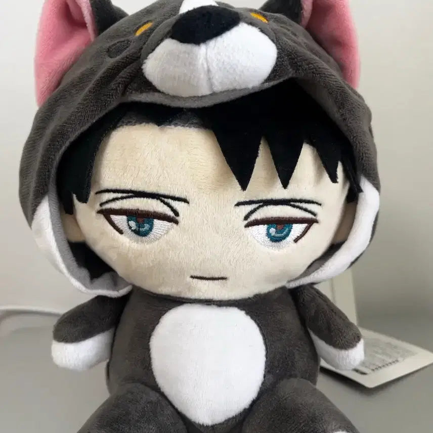 [BUNJANG] Attack on Titan Levi Lipmung S Plush Doll / 진격의 거인 립뭉이 s 리바이 인형