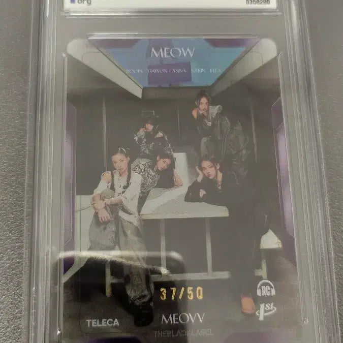 [BUNJANG] Teleca Meovv Limited Edition Group Character Cards Set / 테레카 teleca 미야오 meovv 4종 50한정 단체 팀 등급카드 등카 팝니다.