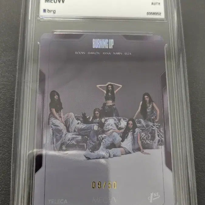 [BUNJANG] Teleca Meovv Limited Edition Group Character Cards Set / 테레카 teleca 미야오 meovv 4종 50한정 단체 팀 등급카드 등카 팝니다.