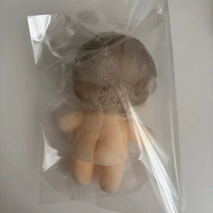 [BUNJANG] Lee Chae-heon Isekai Mistake Hunter Ahn Yoon-seung Doll / 이착헌 이세계 착각 헌터 안윤승 인형