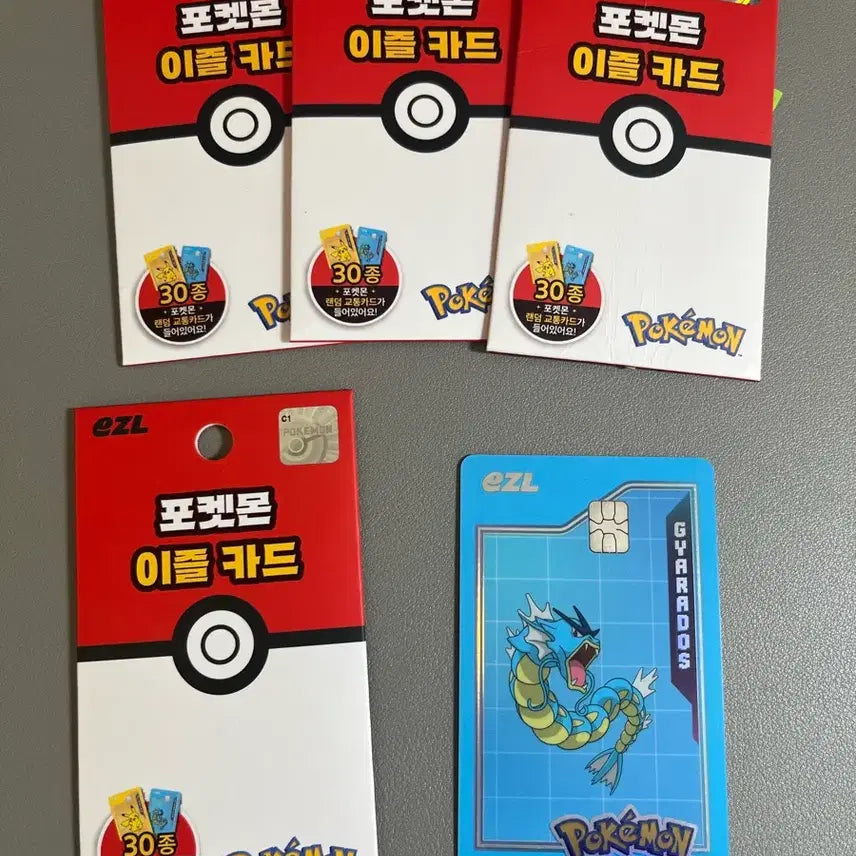 [BUNJANG] Pokemon Gyarados IZLU Transit Card / 포켓몬스터 교통카드 이즐 갸라도스