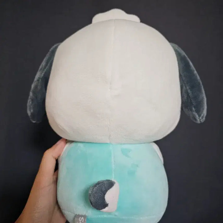 [BUNJANG] Pochacco Chick Medium Plush / 포차코 병아리 중형 인형