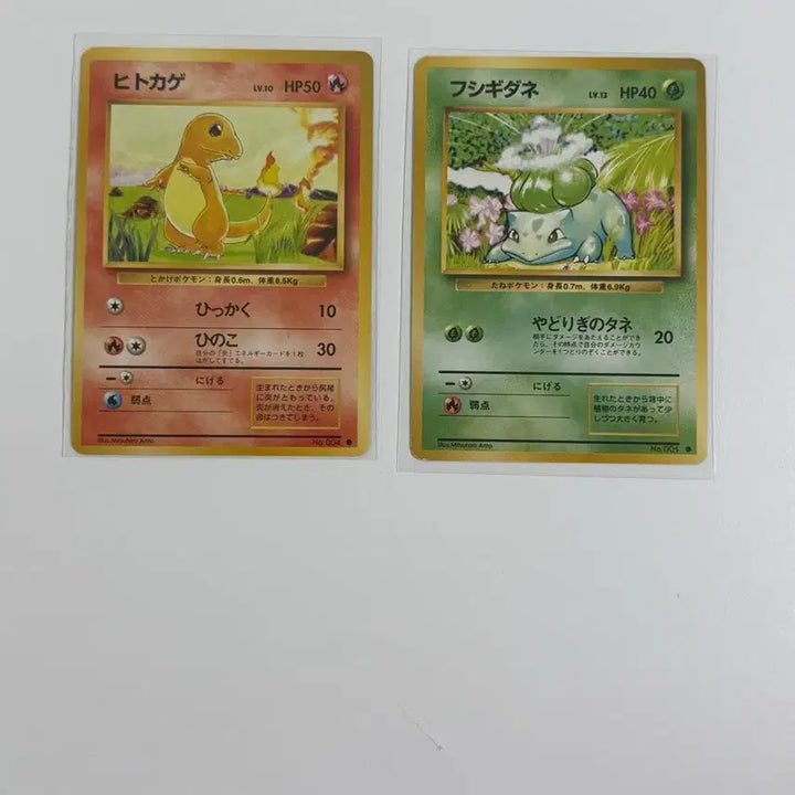 [BUNJANG] Charmander, Bulbasaur Old Bag / 1996 일판 파이리, 이상해씨 올드백 판매