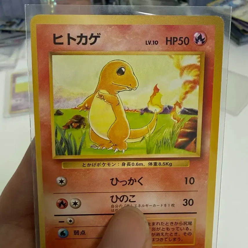 [BUNJANG] Charmander, Bulbasaur Old Bag / 1996 일판 파이리, 이상해씨 올드백 판매