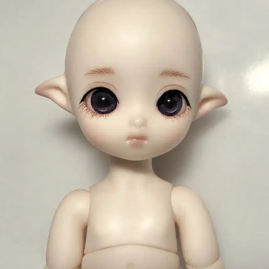 [BUNJANG] BJD Brownie Doll - Full Set with Box / 구체관절인형 브라우니 본체+의상+안구+박스 일괄