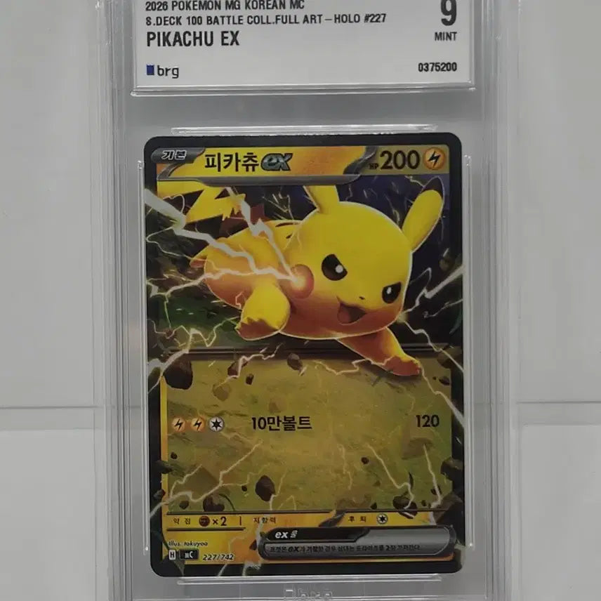 [BUNJANG] Pokemon Card Pikachu &amp; Raichu 3-Card Deck / 포켓몬카드 100덱 피카츄 라이츄 3장 brg9