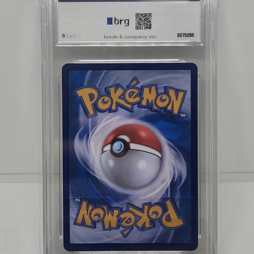 [BUNJANG] Pokemon Card Pikachu &amp; Raichu 3-Card Deck / 포켓몬카드 100덱 피카츄 라이츄 3장 brg9