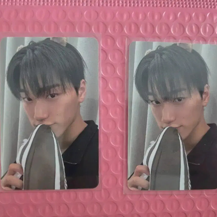 [BUNJANG] ATEEZ Hamsteez San Photocard POB / 에이티즈 미공포 햄스티즈 산 포카 양도