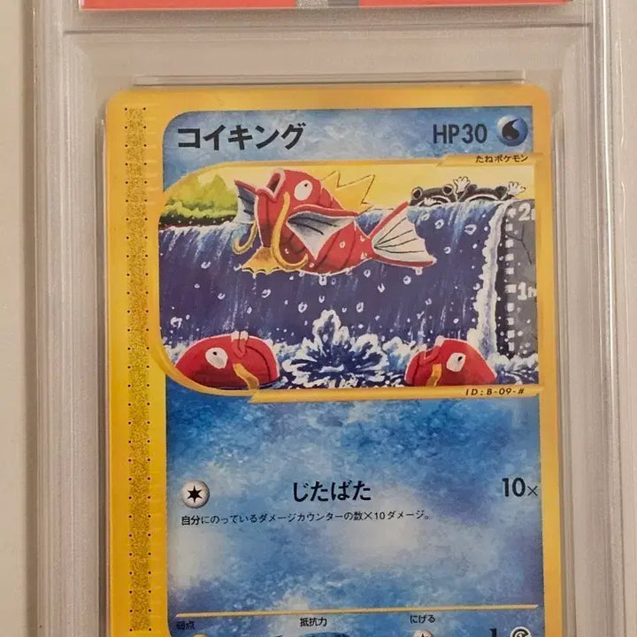 [BUNJANG] Pokemon Magikarp 1st Edition PSA 9 / 포켓몬 잉어킹 1st Edition Psa9