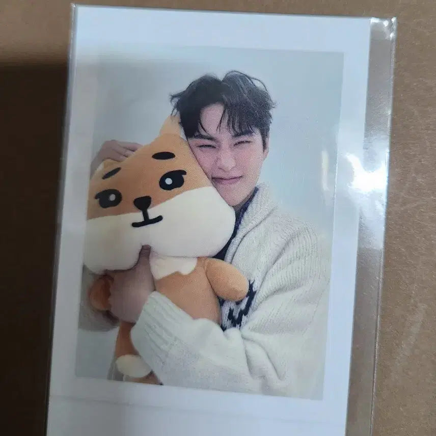 [BUNJANG] Day6 Young K Denimals Giant Photocard / 데이식스 자이언트 데니멀즈 영케이 포카
