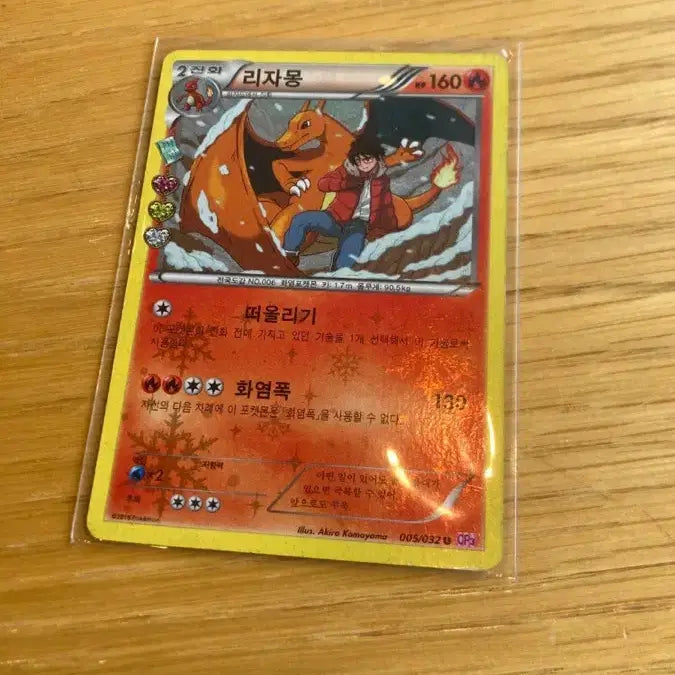 [BUNJANG] Charizard Plush / 심쿵 리자몽
