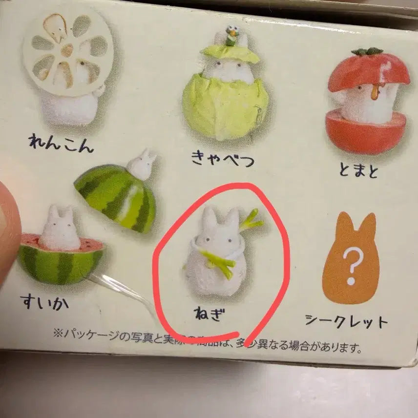 [BUNJANG] Totoro Vegetable Figure (Green) / 토토로 야채 피규어 (파)