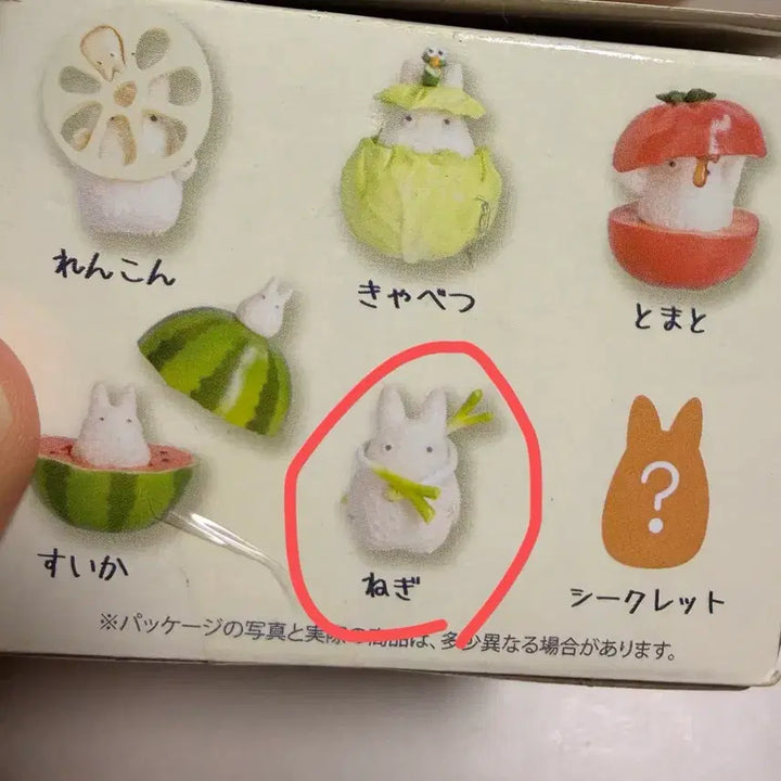 [BUNJANG] Totoro Vegetable Figure (Green) / 토토로 야채 피규어 (파)