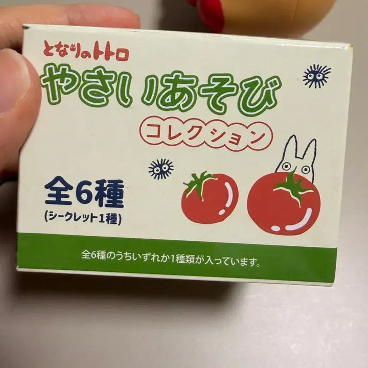 [BUNJANG] Totoro Vegetable Figure (Green) / 토토로 야채 피규어 (파)