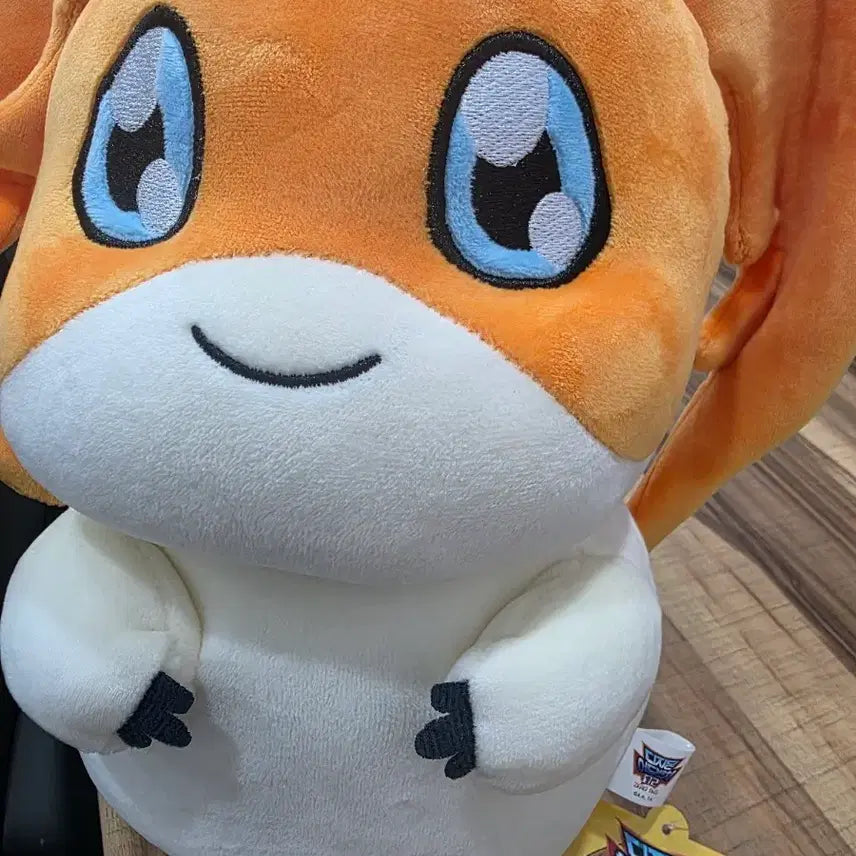 [BUNJANG] Digimon Adventure Patamon Medium Plush / 디지몬 어드벤처 파닥몬 중형