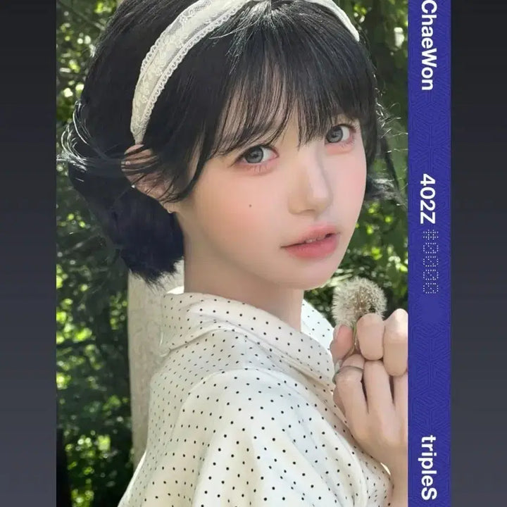[BUNJANG] tripleS Kim Chaewon PCO CC402 Split Set / 트리플에스 오브젝트 김채원 PCO CC402
