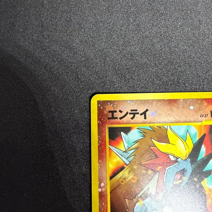 [BUNJANG] Pokemon Card Neo Premium File 2 Entei Holo / 포켓몬카드 빈티지 올드백 네오프리미엄파일2 엔테이 홀로
