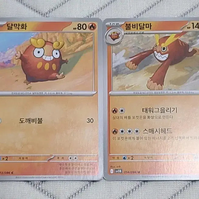 [BUNJANG] Pokemon Card Darumaka/Darmanitan SV11B 013/086 / 포켓몬카드 달막화/불비달마 SV11B 013/086