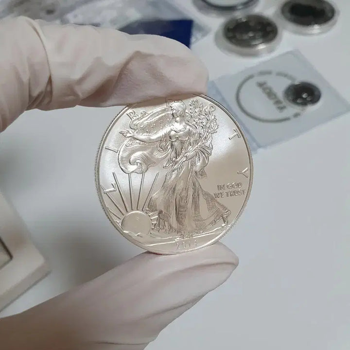 [BUNJANG] 2014 Eagle Silver Coin 999 Fine Silver / 2014 이글은화 순은 999 실버코인