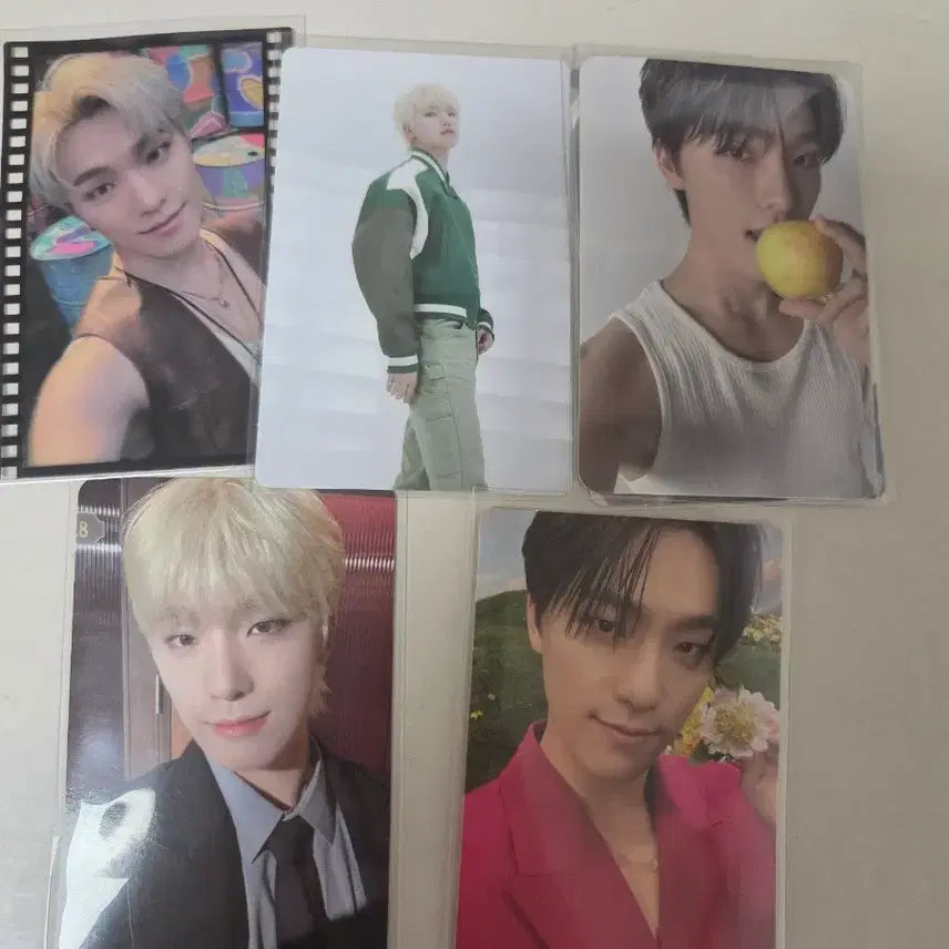 [BUNJANG] SEVENTEEN Dino Bundle Set Photocard / 세븐틴 디노 포카 일괄 판매 캐럿반 캐럿존 포카