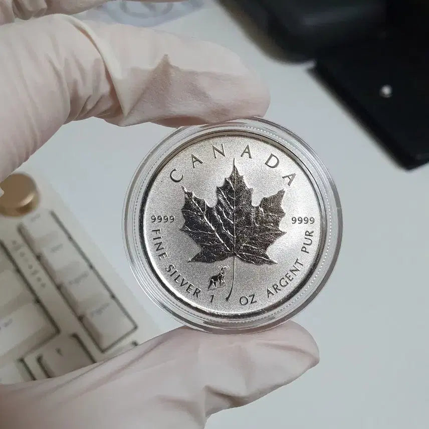 [BUNJANG] 2015 Canada Maple Leaf Silver Coin (Rare) / 캐나다 2015 메이플 은화 양 프리비마크(희귀은화)