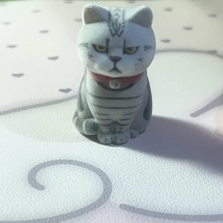 [BUNJANG] Cat Gacha Toy (Sealed) / 고양이 가챠 새상품